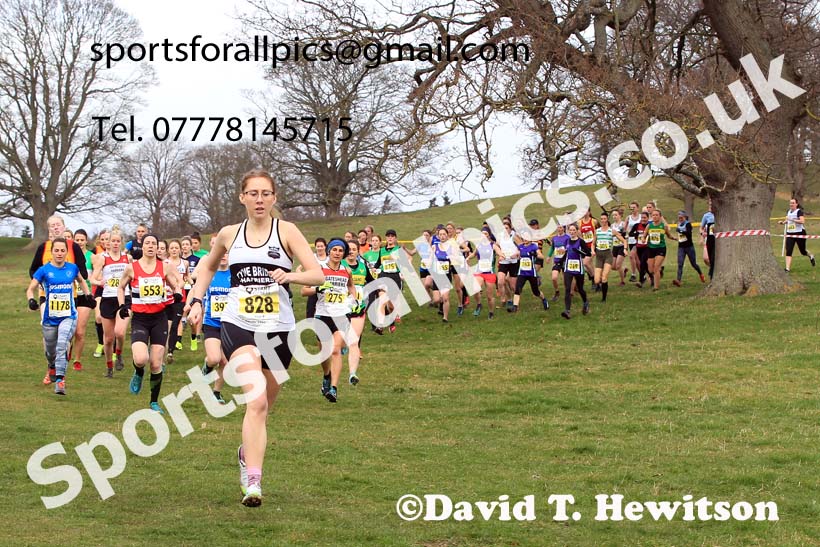 Senior Womens 2023 NEHL, Alnwick, Northumberland. Photo: David T. Hewitson/Sports for All Pics